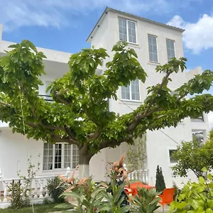 Denis Apartamento